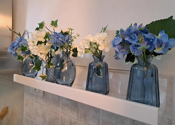 Vola Vola Vola * Ortona