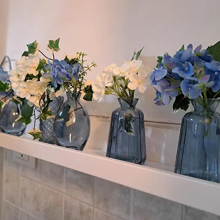 Vola Vola Vola * Ortona